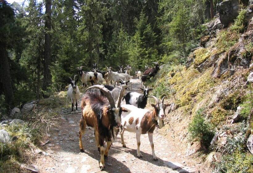 هتل Haus Alpenruh