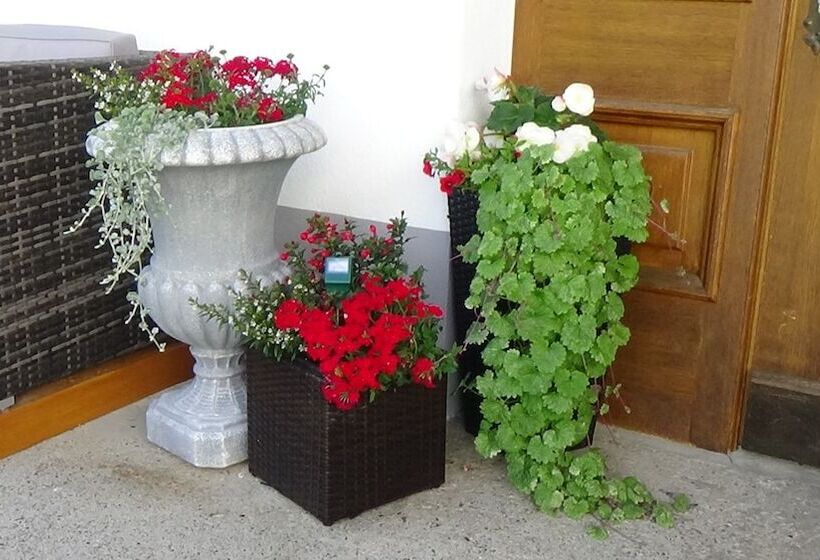 هتل Haus Bergheim