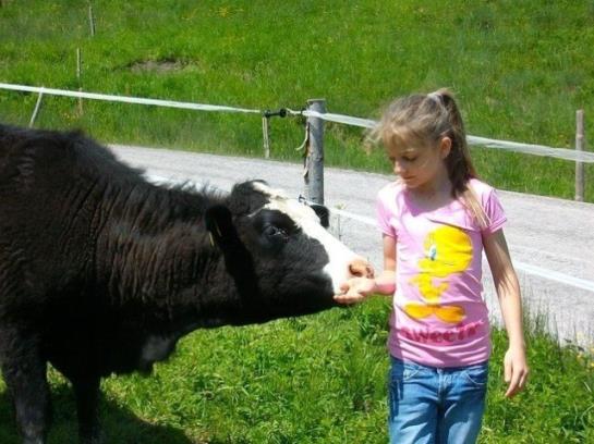 Отель Hochserner-hof