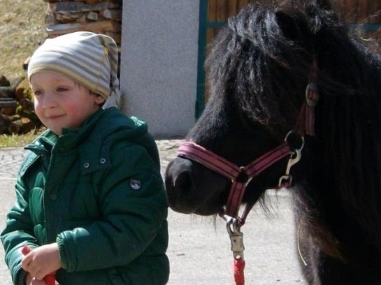 Отель Hochserner-hof