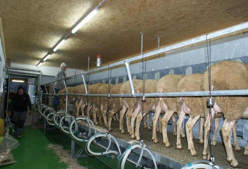 ホテル Nussbaumer Am Irrsee