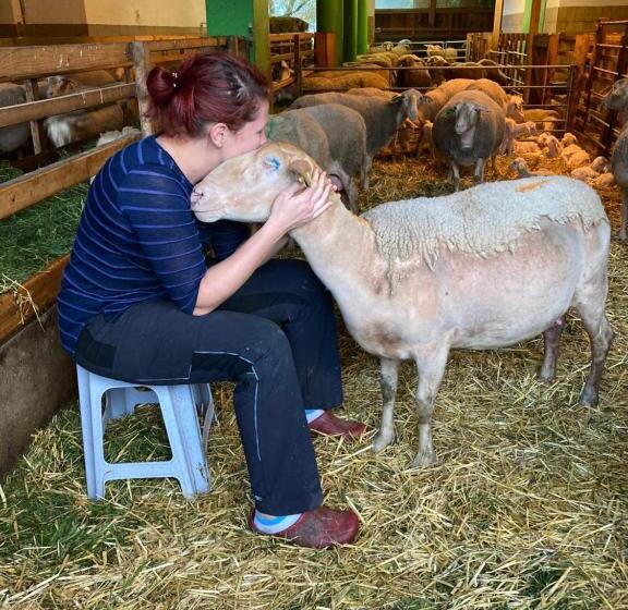 ホテル Nussbaumer Am Irrsee
