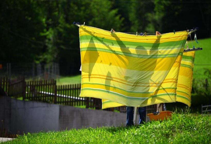 ホテル Nussbaumer Am Irrsee