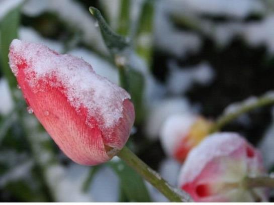 ベッドアンドブレックファースト Pension Winter Am Irrsee