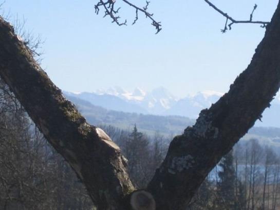 ベッドアンドブレックファースト Pension Winter Am Irrsee