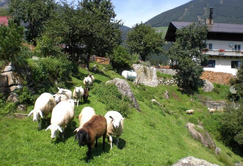 ペンション Bauernhof Oberscheffau
