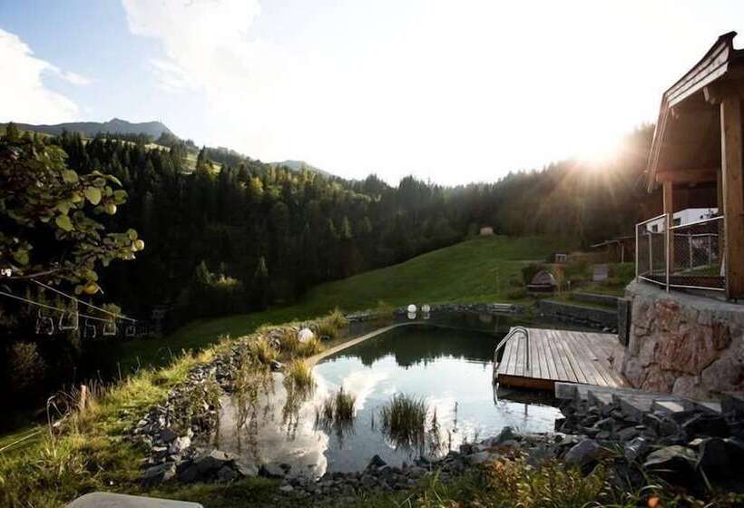 Pensione Berghotel Pointenhof