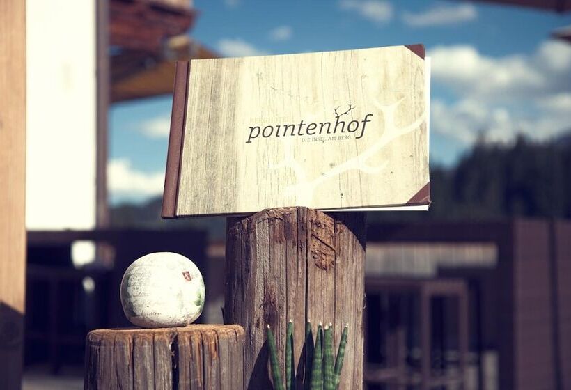 پانسیون Berghotel Pointenhof