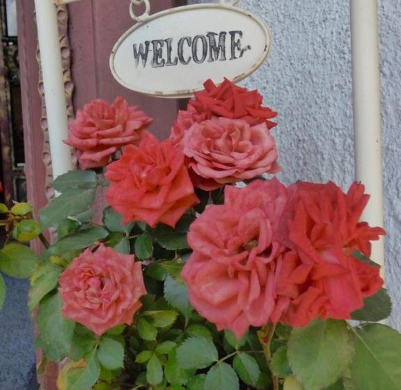پانسیون Gasthof   Hotel Klammstein