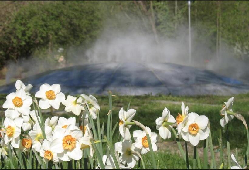 펜션 Gästehaus Am Stadtpark