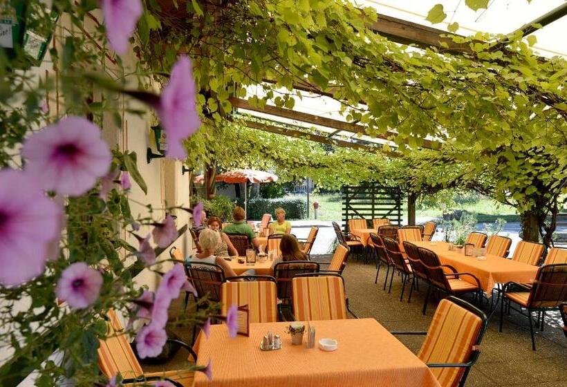 پانسیون Landgasthof Mauth