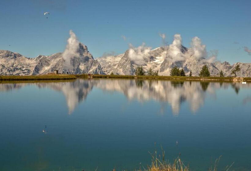 پانسیون Sonnfeld