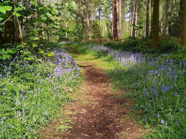 فندق Hollicarrs Long Lane Lodge