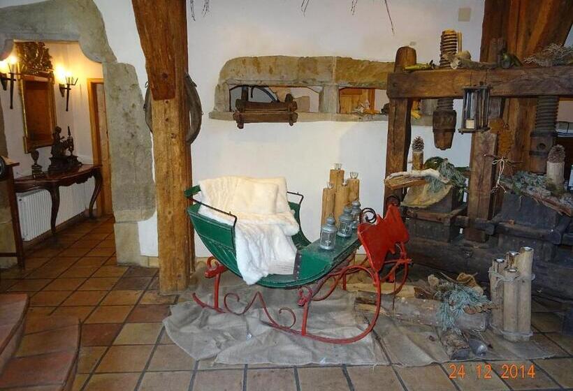 Пансион Wasserstelz Historisches Genusshotel & Restaurant Am Rhein