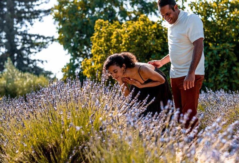 هتل Stanly Ranch, Auberge Resorts Collection