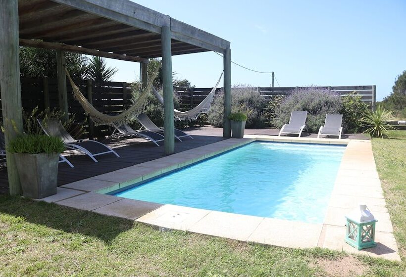 Los Pecados De La Viuda