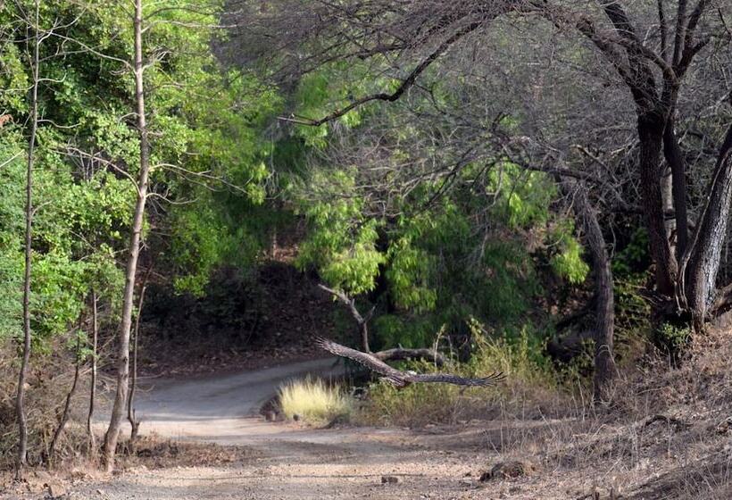 هتل The Postcard Gir Wildlife Sanctuary