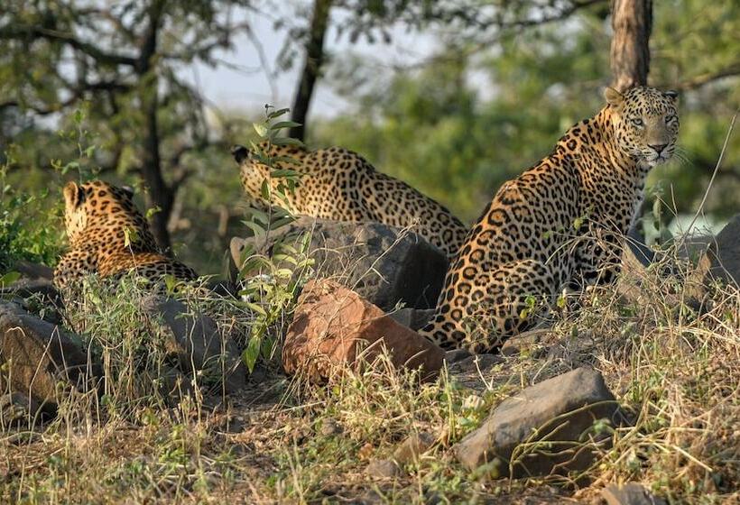 هتل The Postcard Gir Wildlife Sanctuary