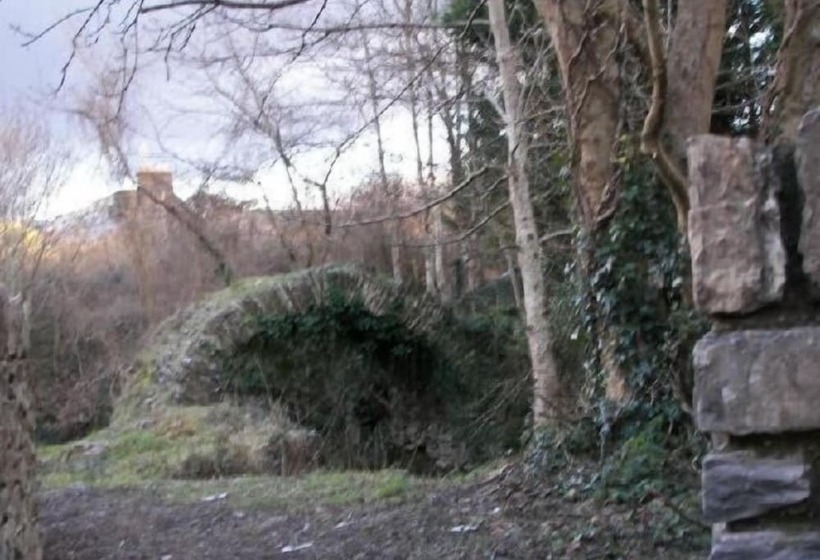 تختخواب و صبحانه Abbey Court