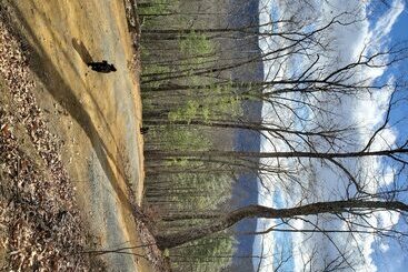 Smoky Mountain Lake View Cabin Bristol Tn