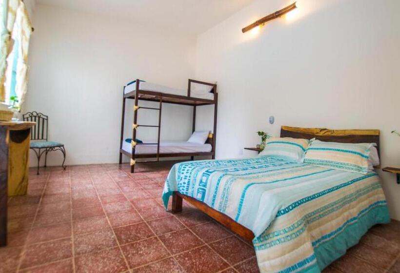 فندق Casa Pancho Playa