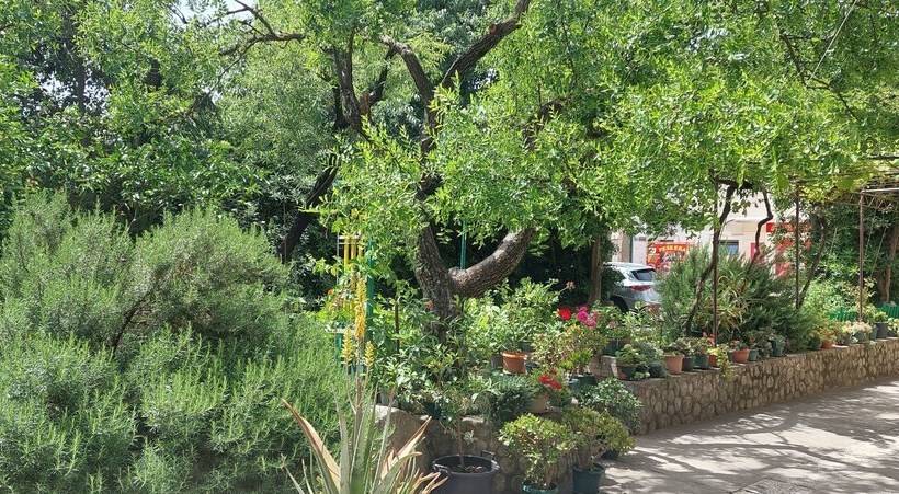هتل Studio Apartments Roza   A Charming Oasis In The Centre Of Makarska