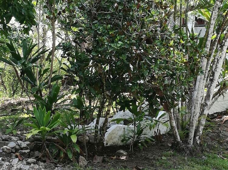پانسیون Manuel Antonio Comfort Casa Macaow