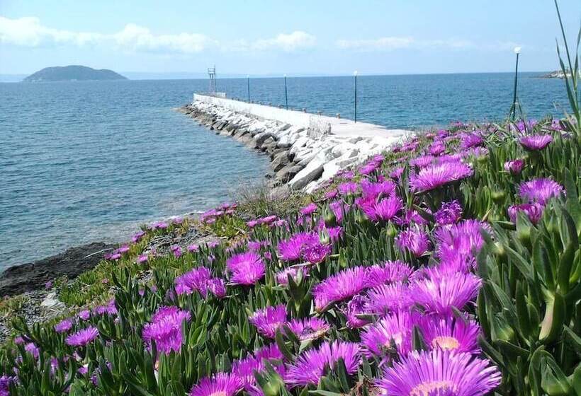 Welcome To Hotel Petunia, In Neos Marmaras,xalkidiki ,greece, Triple Room