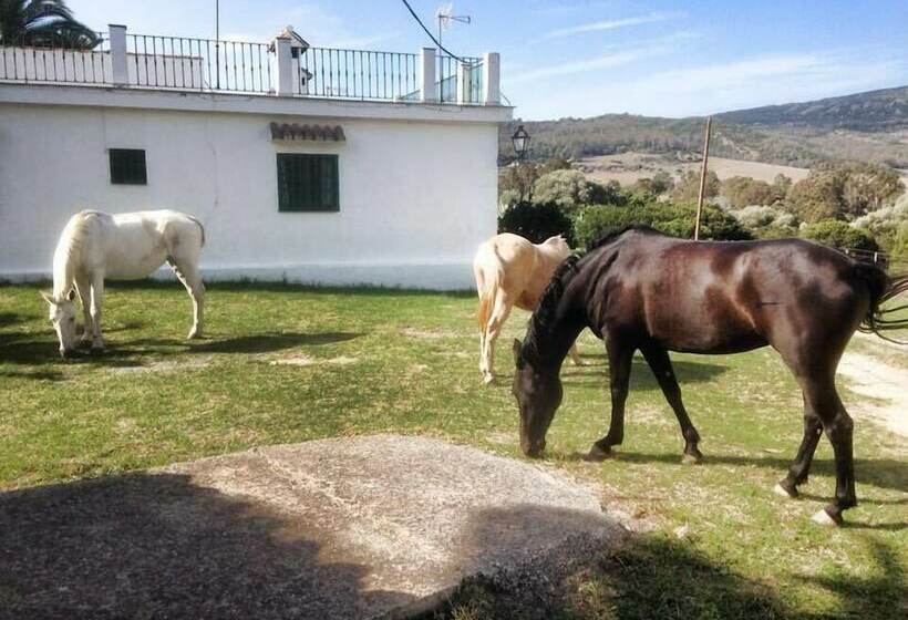 Cortijo Las Piñas