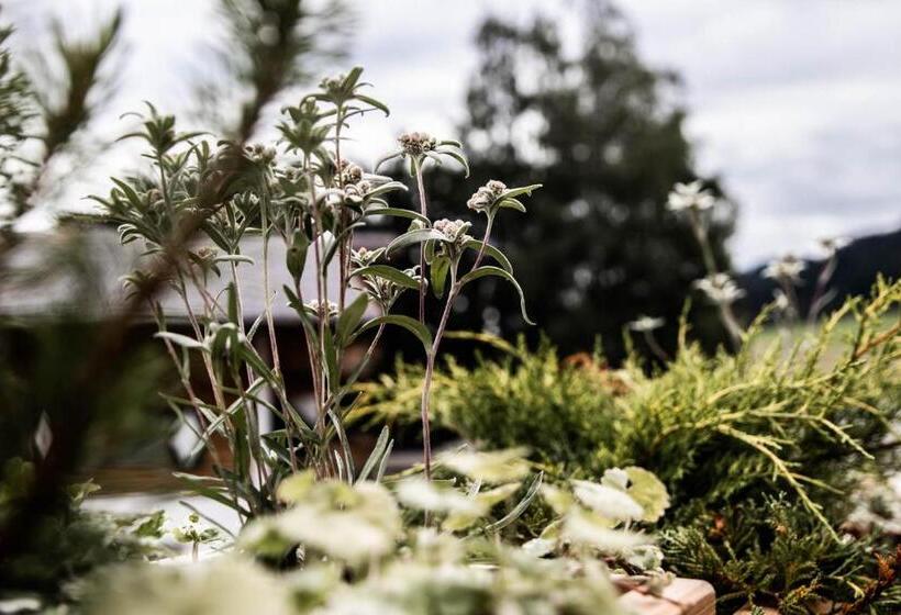ベッドアンドブレックファースト Flora   Das Kleine Garten