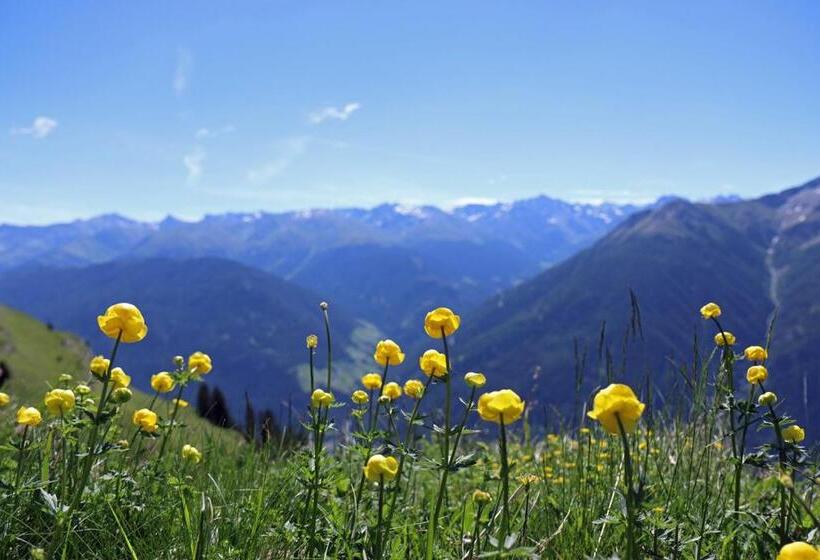 Bed and Breakfast Pension Fuchs