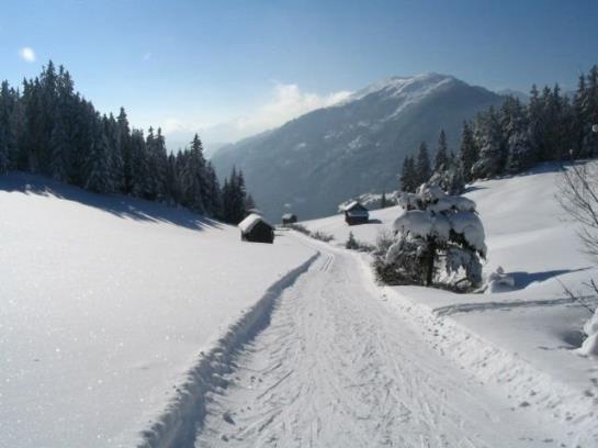 Bauernhof Maierhof Kaunertal