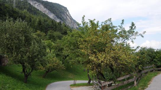 Bauernhof Pulvererhof