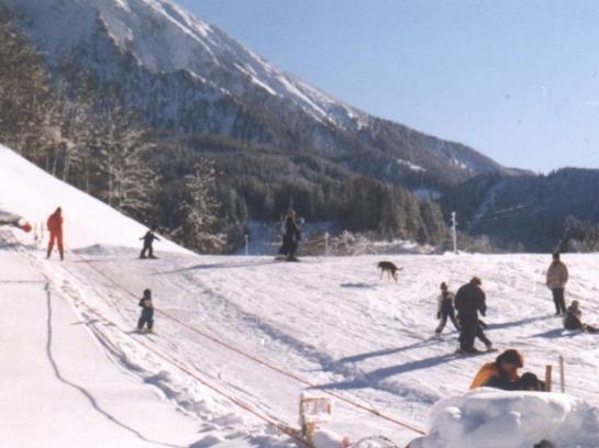 Bauernhof Schilift-hotz