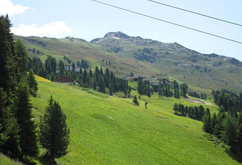 Отель Berggasthof Hochzeigerhaus
