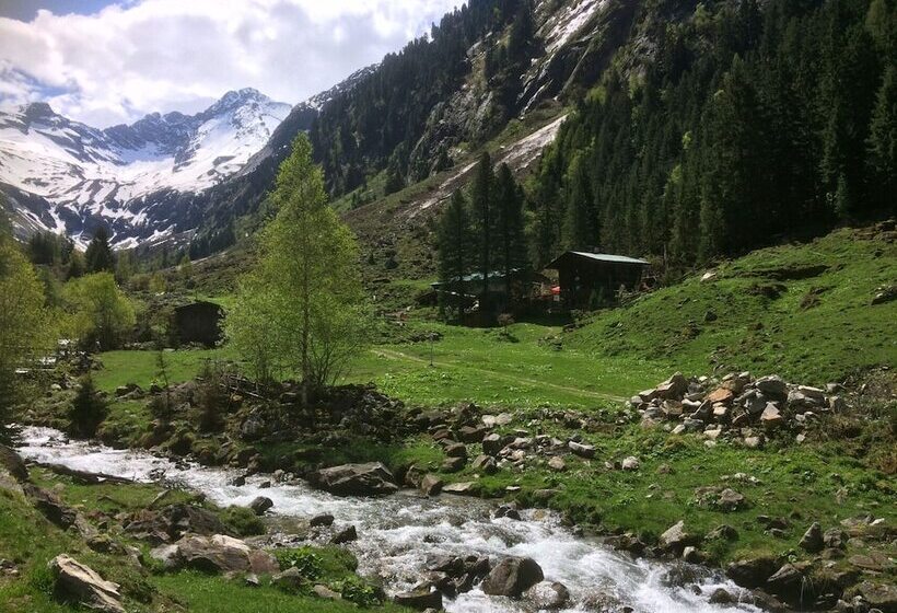Fotos del hotel Gutshof Zillertal:  10