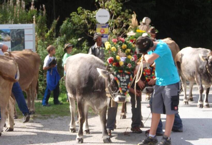 בית מלון כפרי Hauseggerhof