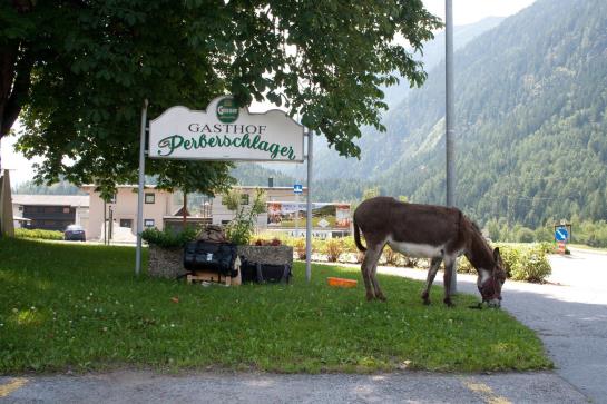 Hotel Appartements Perberschlager