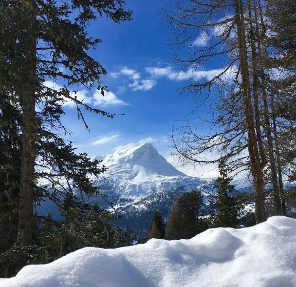 پانسیون Gasthof Martha