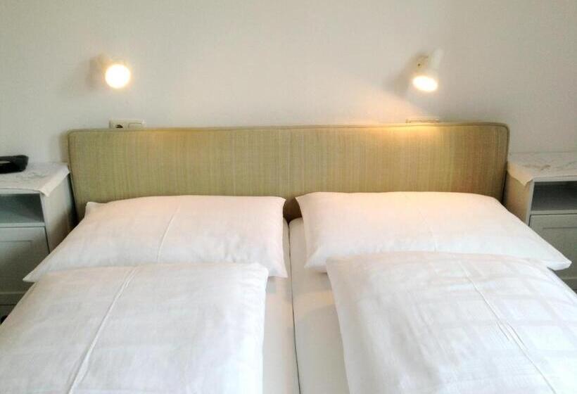 Bed and Breakfast Parkpension Billroth