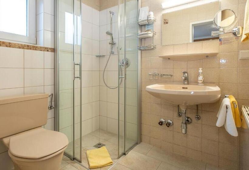 Bed and Breakfast Pension Falkensteiner