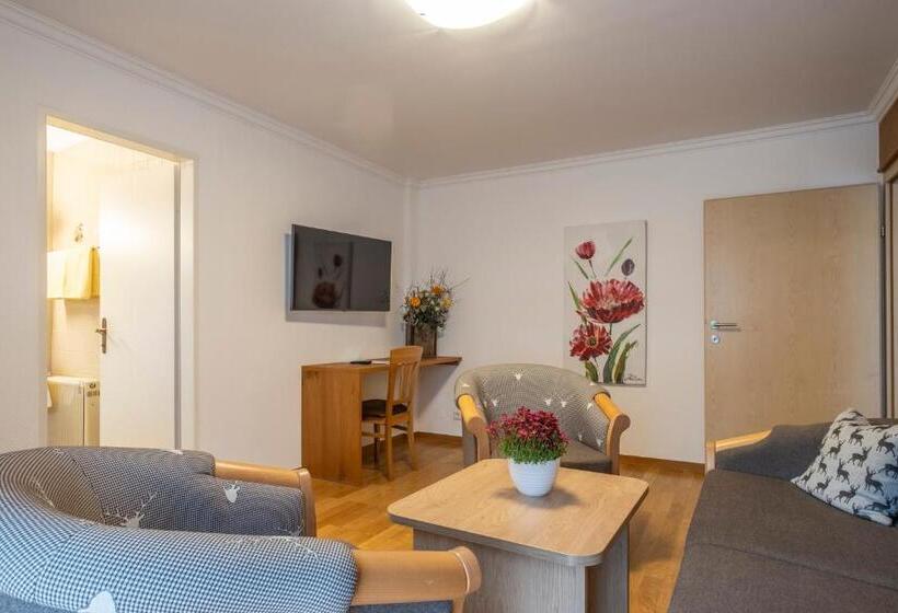 Bed and Breakfast Pension Falkensteiner
