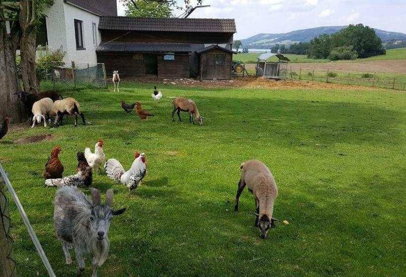 ベッドアンドブレックファースト Pension Zenzlgut