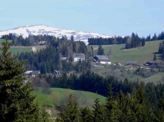 Urlaub Am Bauernhof Grabenhofer