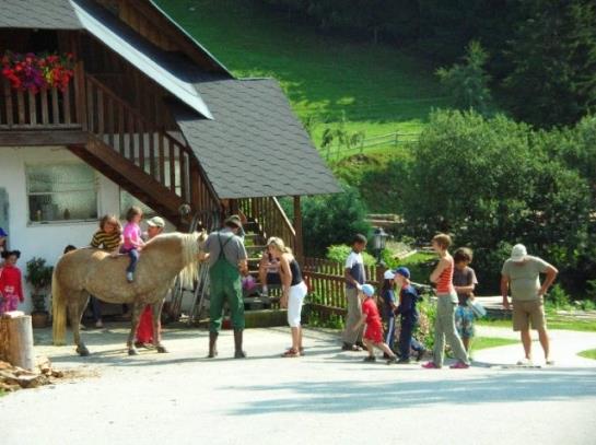 Urlaub Am Bauernhof Grabenhofer