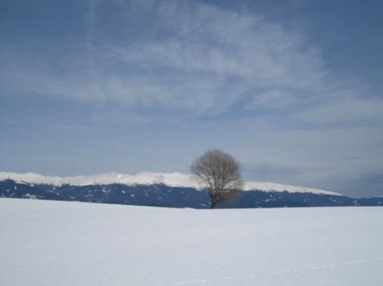 Bauernhof Familie Sepp Und Sabine Koeck