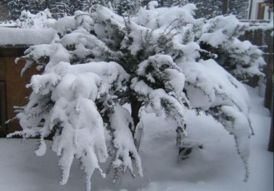 Bauernhof Familie Sepp Und Sabine Koeck