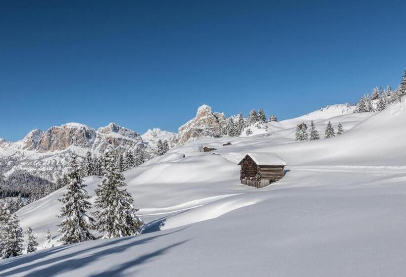 هتل Dolomiti