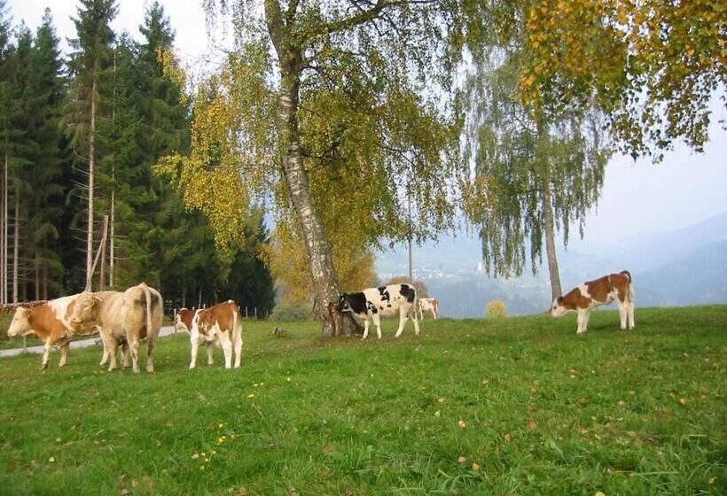 هتل Ferienwohnung Am Oberrainerhof