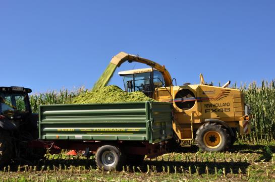 בית מלון כפרי Holzgethan